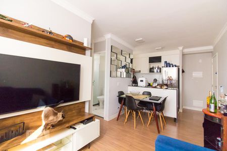 Sala de apartamento para alugar com 2 quartos, 45m² em Jardim Íris, São Paulo