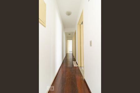Corredor de apartamento para alugar com 2 quartos, 58m² em Pinheiros, São Paulo