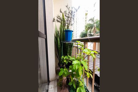 Varanda de apartamento para alugar com 2 quartos, 55m² em Jardim das Vertentes, São Paulo