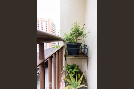 Varanda de apartamento para alugar com 2 quartos, 55m² em Jardim das Vertentes, São Paulo