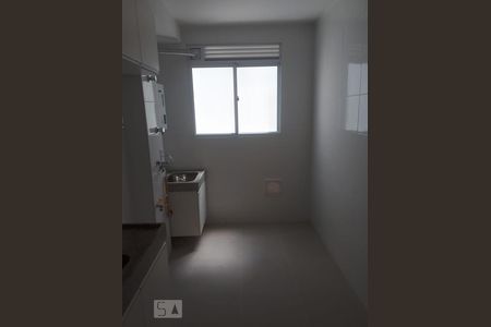 Cozinha de apartamento para alugar com 2 quartos, 50m² em Jardim Íris, São Paulo