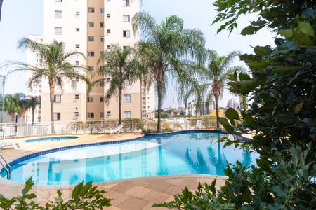 Apartamento à venda com 70m², 2 quartos e 1 vaga Apartamento à venda com 70m², 2 quartos e 1 vagaÁrea comum - Piscina