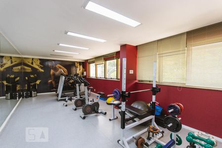 Apartamento à venda com 236m², 3 quartos e 2 vagasÁrea Comum - Academia