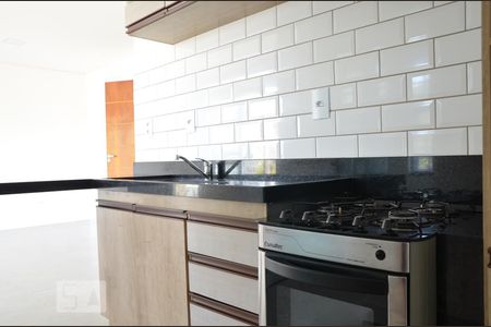 Cozinha de kitnet/studio para alugar com 1 quarto, 50m² em Setor Habitacional Jardim Botânico (lago Sul), Brasília