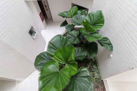 Apartamento à venda com 185m², 3 quartos e 3 vagasVista da Suíte 3