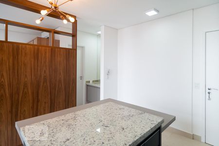 Cozinha  de apartamento para alugar com 1 quarto, 35m² em Santo Amaro, São Paulo