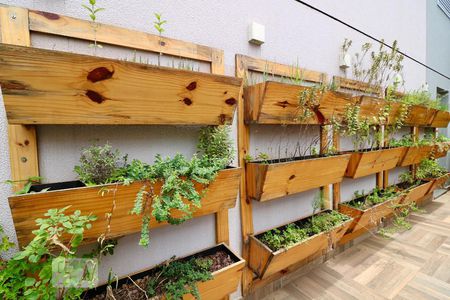 Apartamento para alugar com 39m², 2 quartos e sem vagaÁrea comum - Horta Coletiva