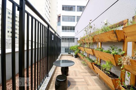 Apartamento para alugar com 39m², 2 quartos e sem vagaÁrea comum - Horta Coletiva