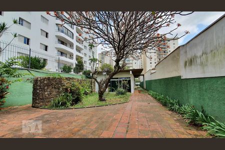 Casa para alugar com 540m², 4 quartos e 4 vagasQuintal