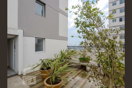 Apartamento à venda com 34m², 2 quartos e sem vagaÁrea comum - Rooftop