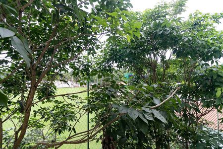 Apartamento à venda com 46m², 2 quartos e 1 vagaVista