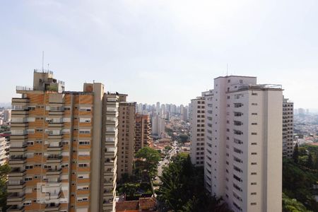 Apartamento à venda com 425m², 4 quartos e 7 vagasVista