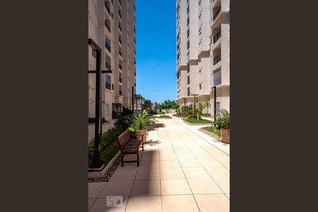 Apartamento para alugar com 55m², 2 quartos e 1 vaga Apartamento para alugar com 55m², 2 quartos e 1 vagaÁrea comum