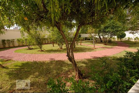 Apartamento para alugar com 49m², 2 quartos e 1 vaga Apartamento para alugar com 49m², 2 quartos e 1 vagaÁrea Comum - Pista de Caminhada