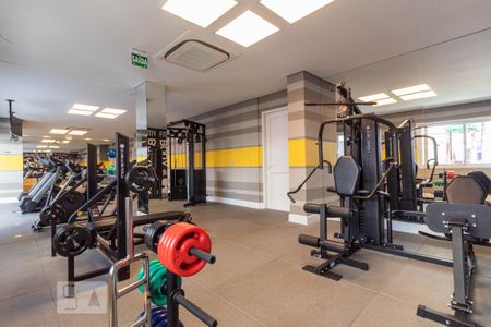 Área comum - Academia de apartamento para alugar com 2 quartos, 65m² em São João, Porto Alegre