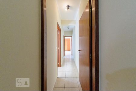 Corredor de apartamento para alugar com 2 quartos, 76m² em Cambuí, Campinas