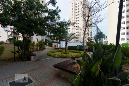 Apartamento para alugar com 65m², 3 quartos e 1 vagaÁrea Externa