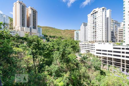 vista de apartamento para alugar com 4 quartos, 240m² em Sion, Belo Horizonte