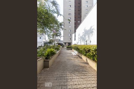 Área comum de apartamento para alugar com 3 quartos, 70m² em Maranhão, São Paulo