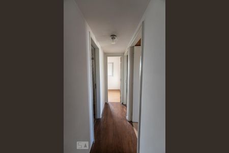 Corredor de apartamento para alugar com 3 quartos, 70m² em Maranhão, São Paulo