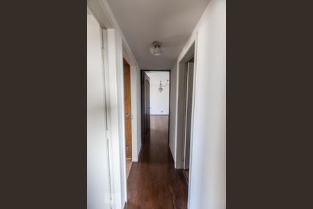 Corredor de apartamento para alugar com 3 quartos, 70m² em Maranhão, São Paulo
