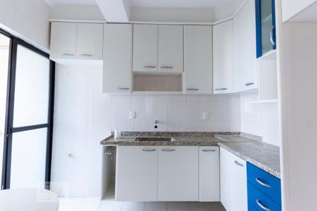 cozinha de apartamento para alugar com 2 quartos, 68m² em Mansões Santo Antônio, Campinas