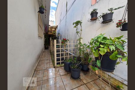 Casa à venda com 167m², 4 quartos e 3 vagasQuintal