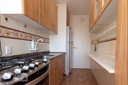 Cozinha de apartamento para alugar com 3 quartos, 60m² em Jardim Dom Vieira, Campinas