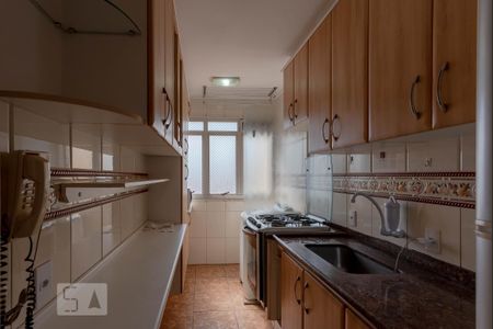 Cozinha de apartamento para alugar com 3 quartos, 60m² em Jardim Dom Vieira, Campinas