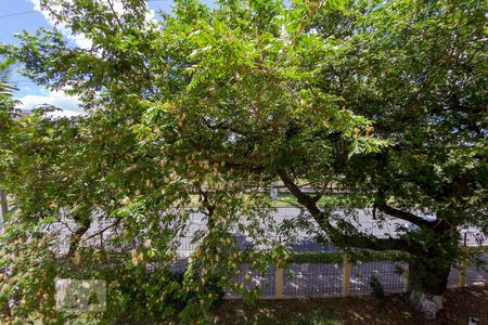 Apartamento à venda com 70m², 2 quartos e 1 vagaVista do Quarto 1