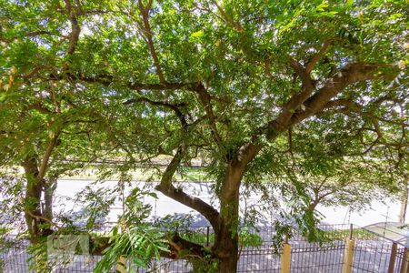 Vista da Sacada de apartamento à venda com 2 quartos, 70m² em Partenon, Porto Alegre