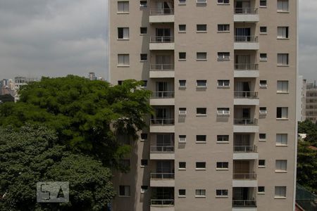 Apartamento para alugar com 83m², 2 quartos e 1 vagaVista do Dormitório 1