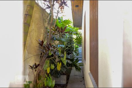 Casa à venda com 250m², 3 quartos e 4 vagasQuintal