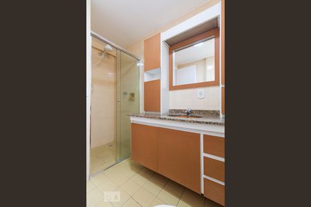 Banheiro Social de apartamento para alugar com 2 quartos, 52m² em Vila Santa Catarina, São Paulo