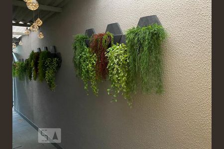 Área Comum de kitnet/studio para alugar com 1 quarto, 20m² em Butantã, São Paulo