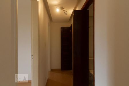 Corredor de apartamento para alugar com 3 quartos, 81m² em Vila Albano, São Paulo