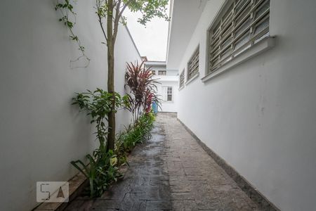 Casa para alugar com 250m², 3 quartos e 3 vagasCorredor Lateral