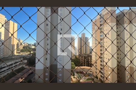 Apartamento para alugar com 2 quartos, 70m² em Chácara Primavera, Campinas