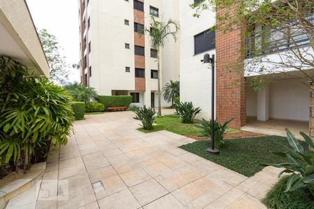 Apartamento para alugar com 55m², 2 quartos e 2 vagas Apartamento para alugar com 55m², 2 quartos e 2 vagasÁrea comum