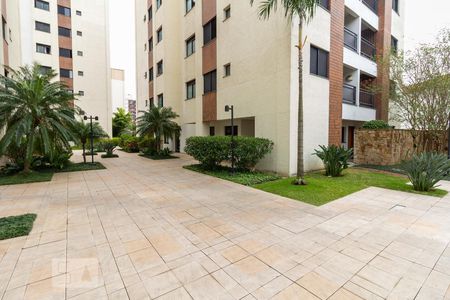 Apartamento para alugar com 55m², 2 quartos e 2 vagas Apartamento para alugar com 55m², 2 quartos e 2 vagasÁrea comum