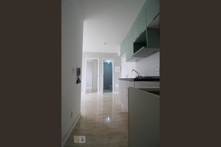 Apartamento para alugar com 34m², 2 quartos e sem vaga Apartamento para alugar com 34m², 2 quartos e sem vagaCozinha
