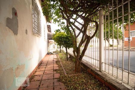 Casa para alugar com 360m², 3 quartos e sem vaga Casa para alugar com 360m², 3 quartos e sem vagaQuintal