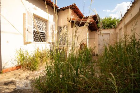 Quintal de casa para alugar com 3 quartos, 360m² em Novo Taquaral, Campinas