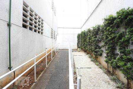Apartamento à venda com 36m², 1 quarto e 1 vagaÁrea comum - Pet Place