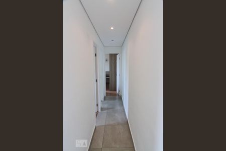 Corredor de apartamento à venda com 2 quartos, 54m² em Vila Santa Delfina, São Paulo