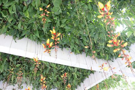 Apartamento para alugar com 60m², 2 quartos e 1 vagaÁrea comum