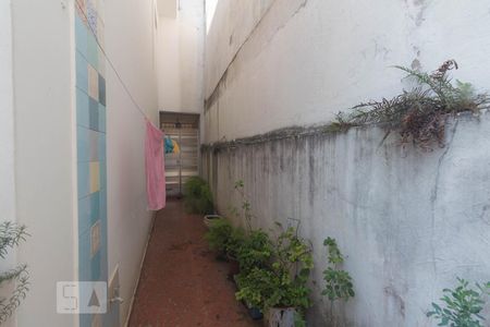 Casa para alugar com 147m², 3 quartos e 1 vagaQuintal