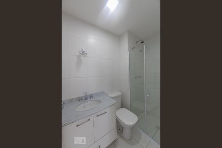 Apartamento para alugar com 63m², 2 quartos e 1 vaga Apartamento para alugar com 63m², 2 quartos e 1 vagaBanheiro Social