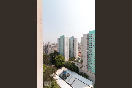 Apartamento para alugar com 54m², 2 quartos e sem vagaVista quarto 2 suíte