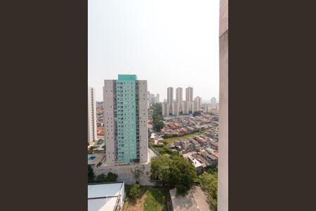 Apartamento para alugar com 54m², 2 quartos e sem vagaVista área de serviço